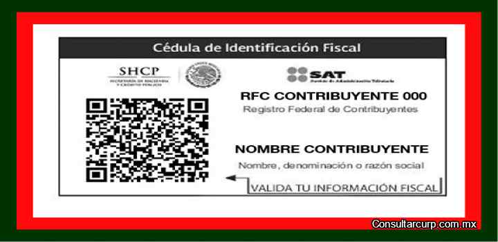 Cómo Sacar RFC con CURP en el México