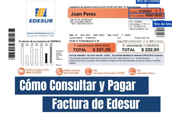 Cómo Consultar y Pagar Factura de Edesur