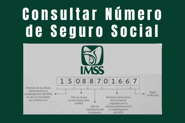 Consultar Número de Seguro Social (NSS): Averigua cómo acceder a tu NSS y obtener datos relevantes sobre tus prestaciones y servicios.
