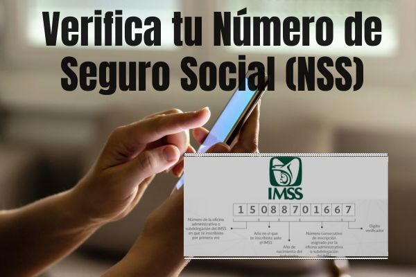 Verifica tu Número de Seguro Social (NSS): Asegura tu identidad y tranquilidad financiera al verificar tu NSS periódicamente.